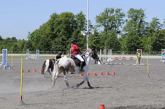 Foto: Jan Rasmussen