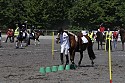 Foto: Jan Rasmussen