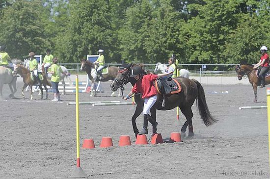 Foto: Jan Rasmussen