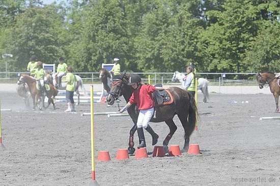 Foto: Jan Rasmussen