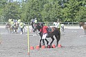 Foto: Jan Rasmussen