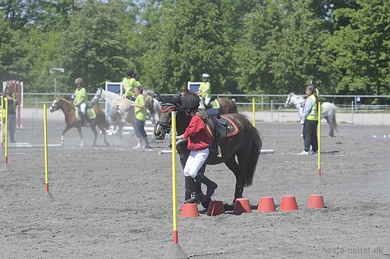 Foto: Jan Rasmussen
