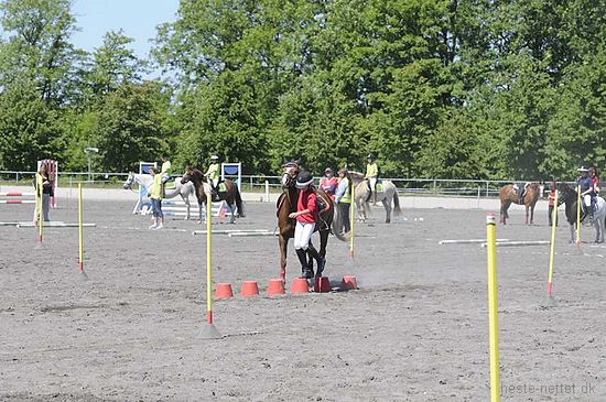 Foto: Jan Rasmussen
