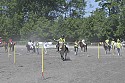 Foto: Jan Rasmussen