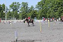 Foto: Jan Rasmussen