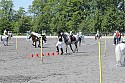 Foto: Jan Rasmussen