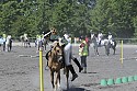 Foto: Jan Rasmussen