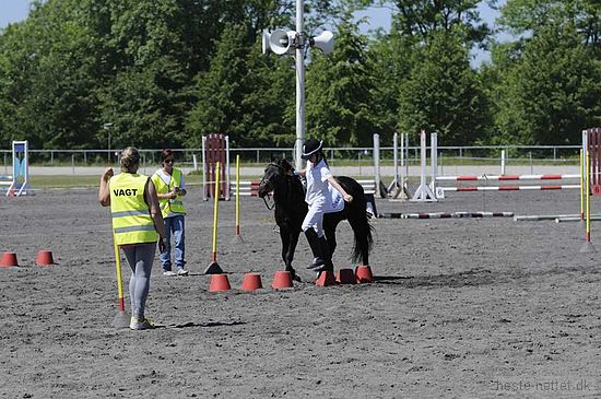 Foto: Jan Rasmussen