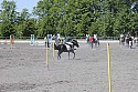 Foto: Jan Rasmussen