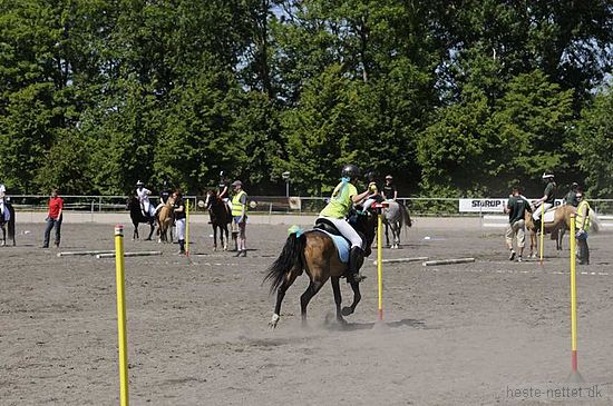 Foto: Jan Rasmussen