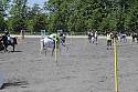 Foto: Jan Rasmussen