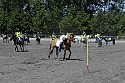 Foto: Jan Rasmussen