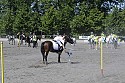 Foto: Jan Rasmussen