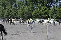 Foto: Jan Rasmussen