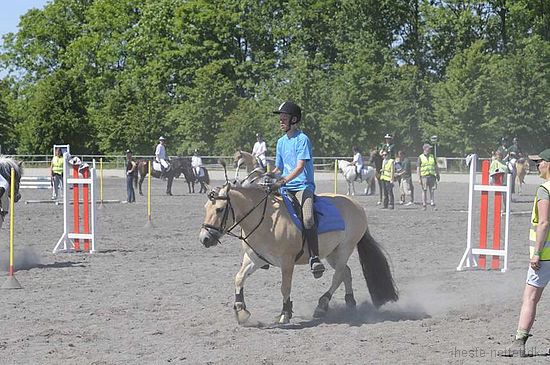 Foto: Jan Rasmussen