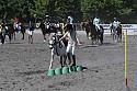 Foto: Jan Rasmussen