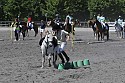 Foto: Jan Rasmussen