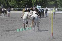 Foto: Jan Rasmussen