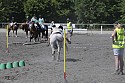 Foto: Jan Rasmussen