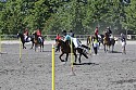 Foto: Jan Rasmussen
