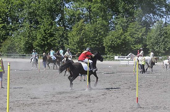 Foto: Jan Rasmussen