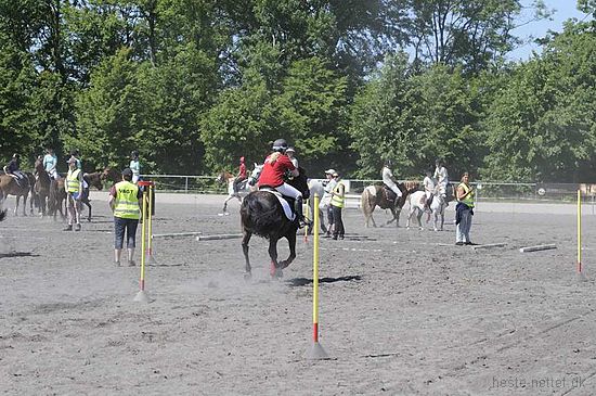Foto: Jan Rasmussen