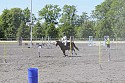 Foto: Jan Rasmussen