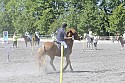 Foto: Jan Rasmussen