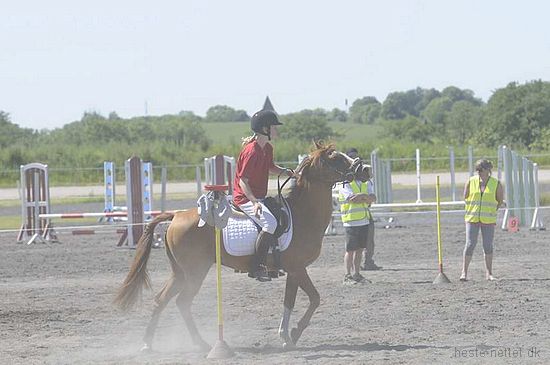 Foto: Jan Rasmussen
