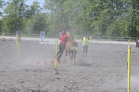 Foto: Jan Rasmussen