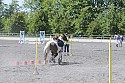 Foto: Jan Rasmussen
