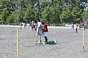 Foto: Jan Rasmussen